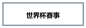 世界杯赛事